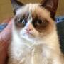 grumpy_cat_original.jpg